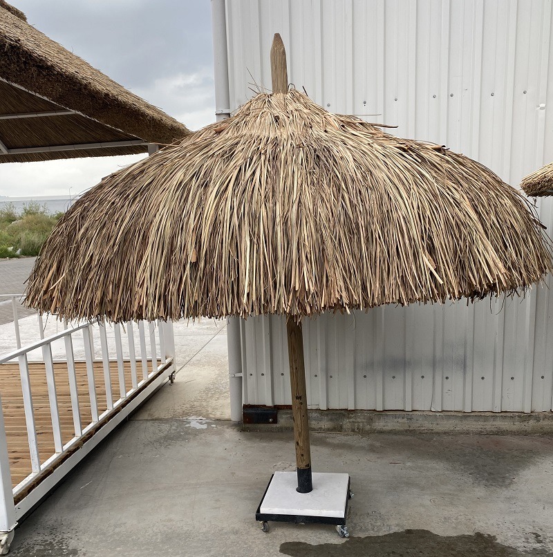 Hasır Şemsiyeler içerik görseli